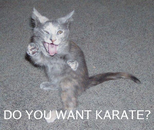 karate.jpg